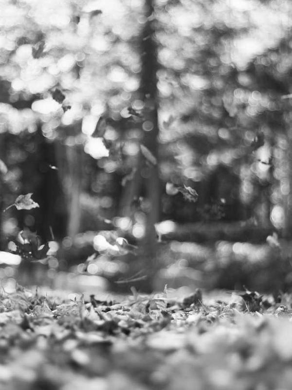 Globetrotter II: The Louvre Heist