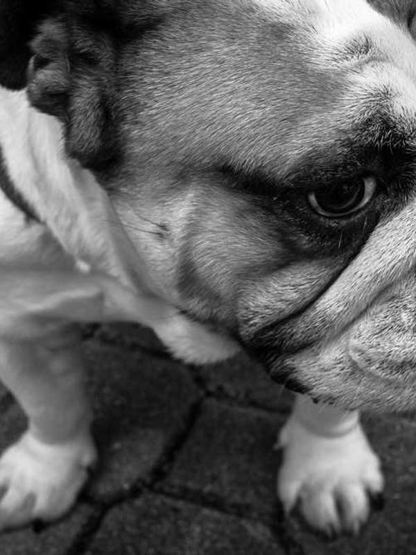 Looking for sustenance